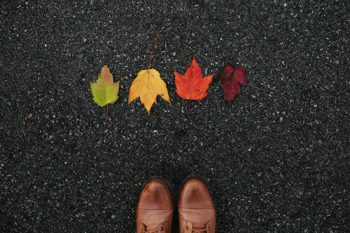 The Q4 Advantage: Why Fall is Prime Time for Re-Engaging Dormant Leads